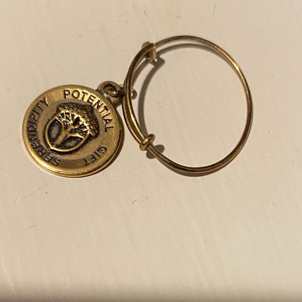 Alex and Ani unexpected miracles expandable ring